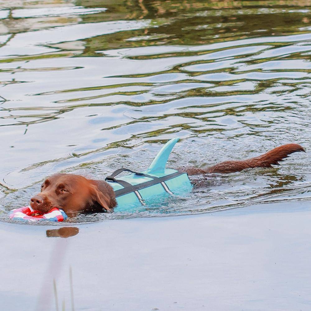 Nobby Sharki Hunde-Schwimmhilfe mit reflektierenden Streifen