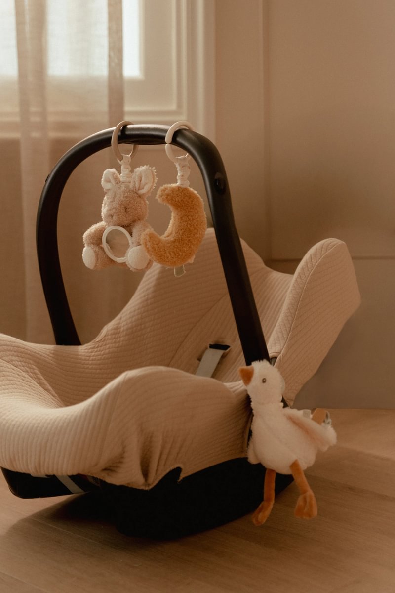 Aktivitätshänger Newborn Naturals 10 × 28 × 20 cm