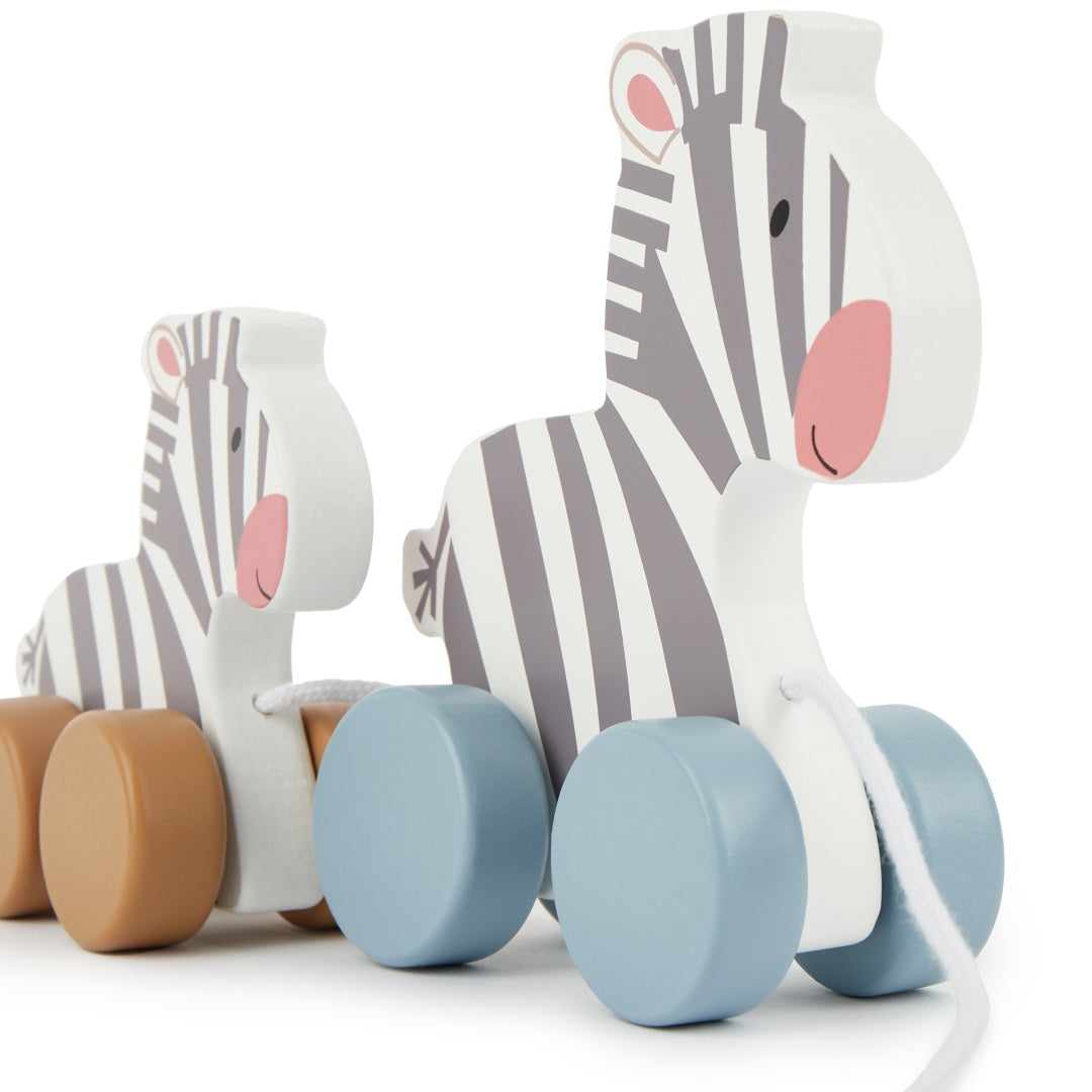 Trekzebra's | bieco