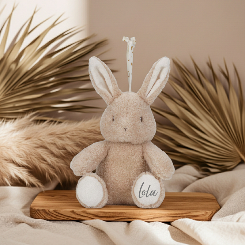 Little Dutch Kuschelhase mit Licht und Sound