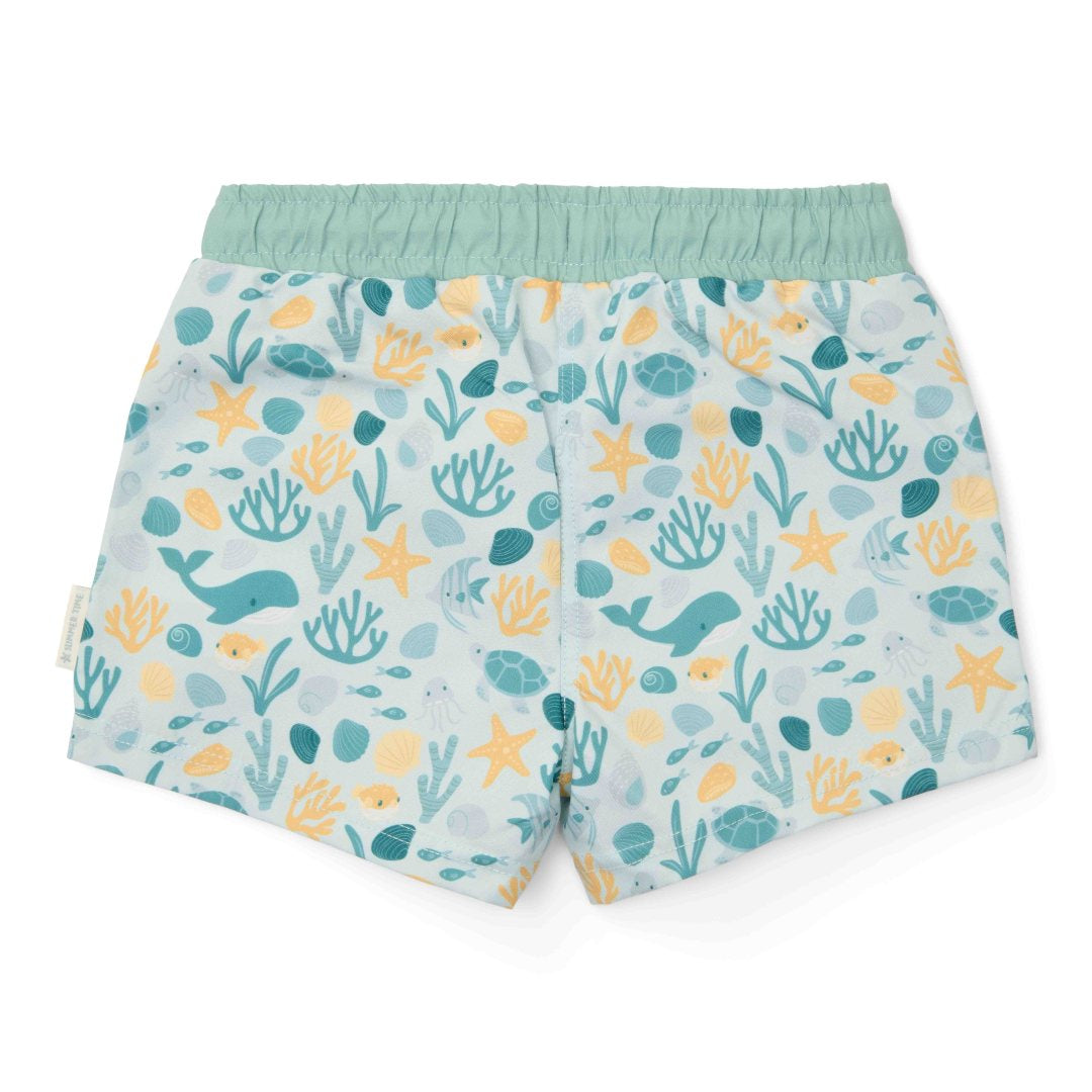 Zwemshort Seashells Multi-colour | Little Dutch