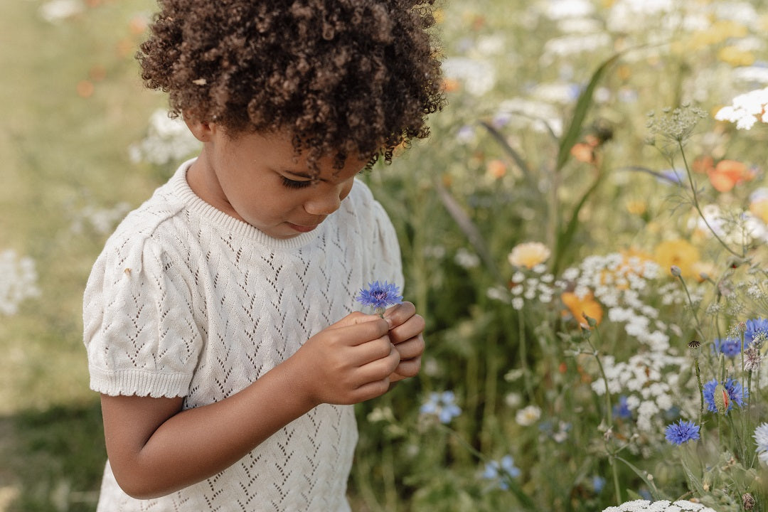 Little Dutch Kurzarm-Strickpullover Creme – Detailansicht des Produkts