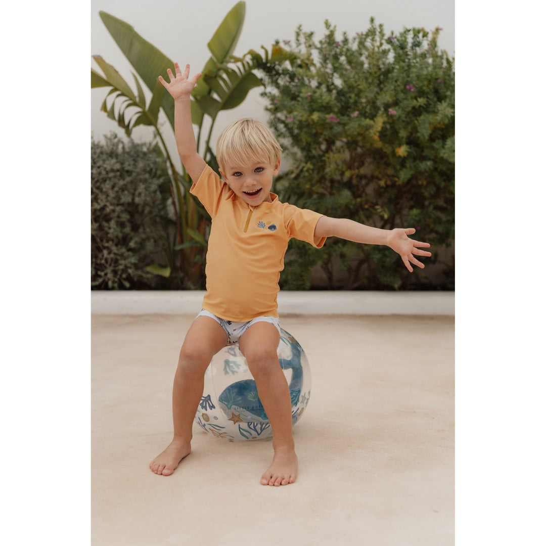 Transparenter 3D Strandball Ocean Dreams Blue – Detailansicht des Wals