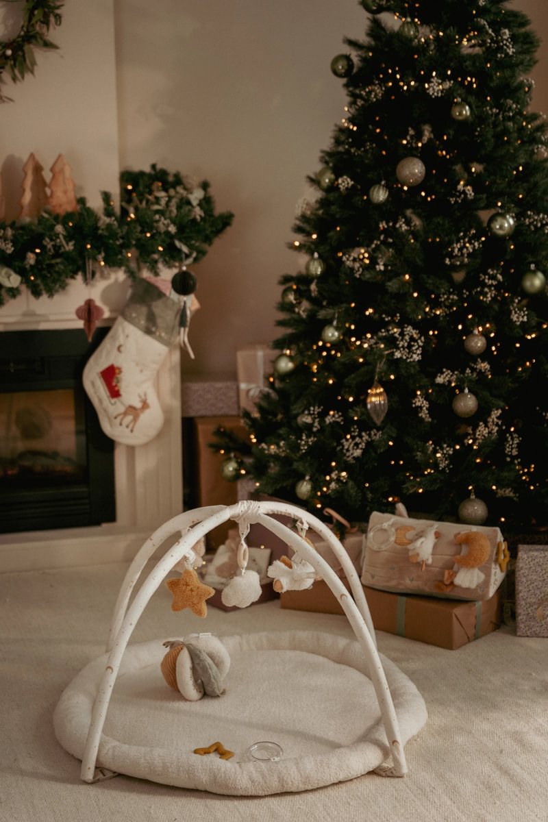 Spielbogen Newborn Naturals mit weicher Spielmatte