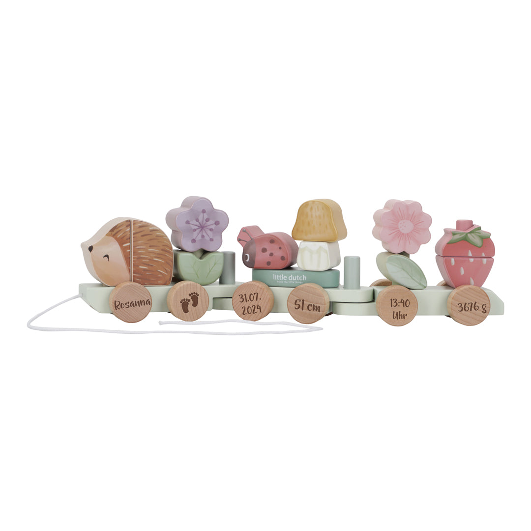 Personalised Wooden Train Hedgehog for Birth – Fairy Garden