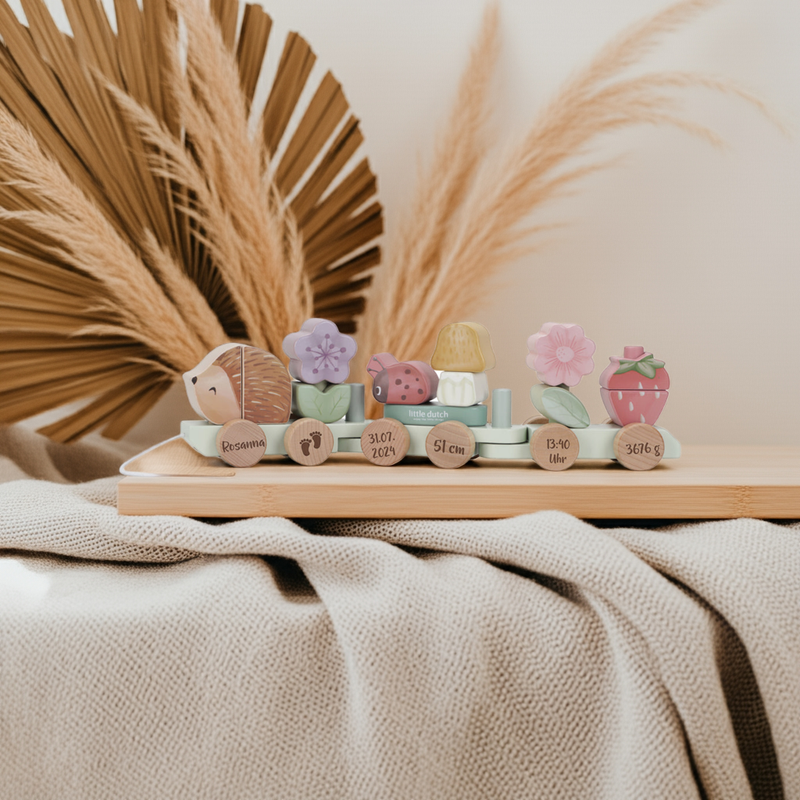Personalised Wooden Train Hedgehog for Birth – Fairy Garden