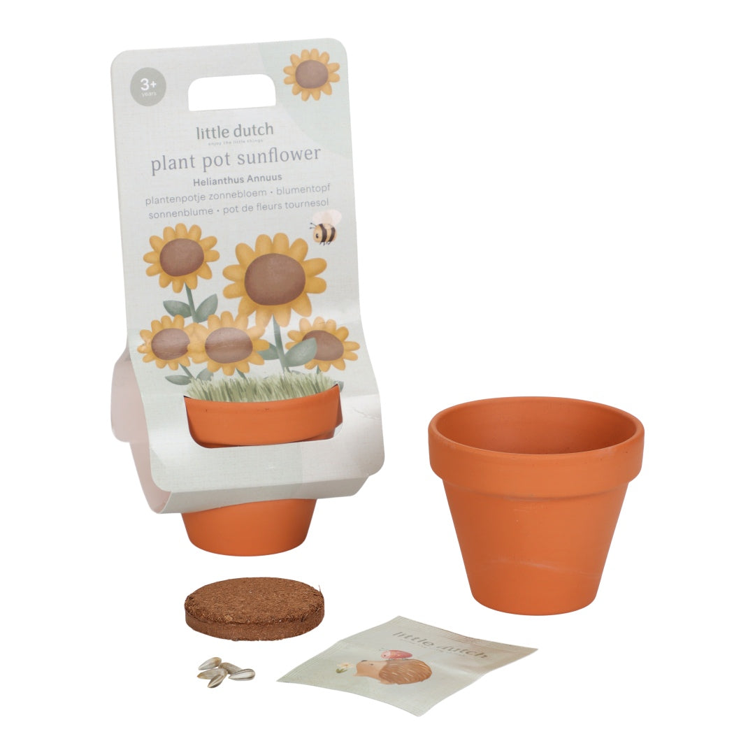 Little Dutch Pflanztopf Sonnenblume Fairy Garden – Terrakotta-Topf mit Erdtablette und Sonnenblumensamen für Kinder ab 3 Jahren