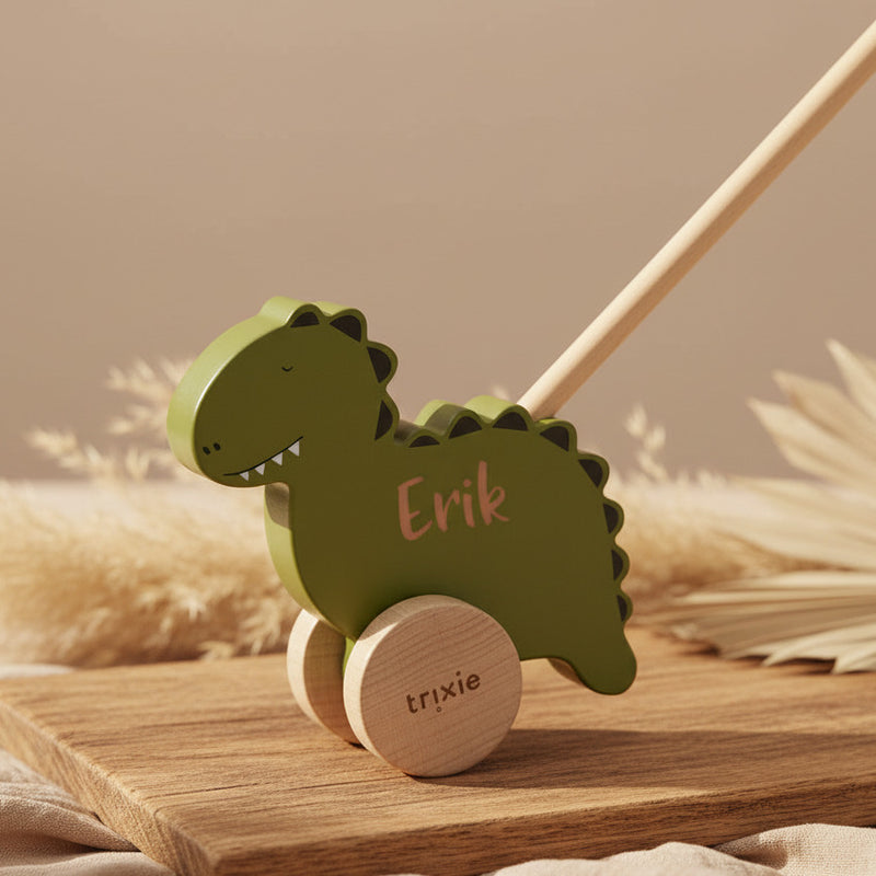Houten duwfiguur - Meneer Dino | Trixie
