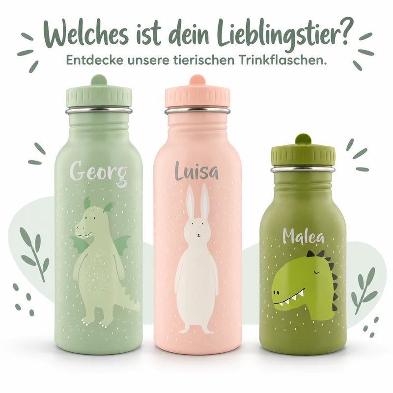 Gourde 500 ml - Monsieur Dragon | Trixie